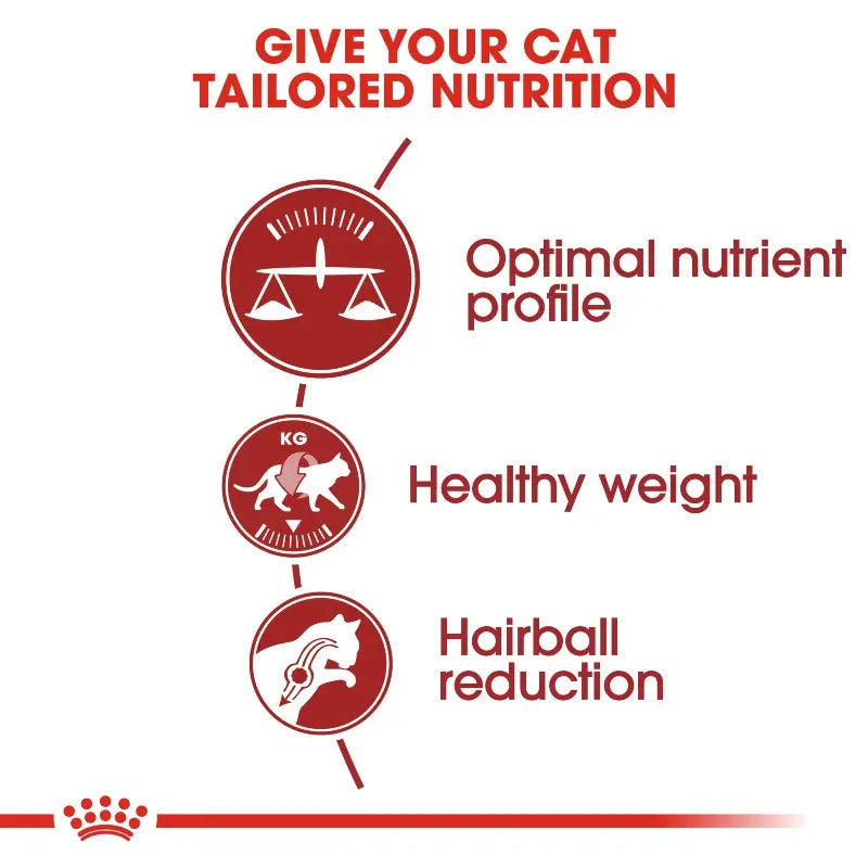 Royal Canin Fit 32 Dry Cat Food   | Low Prices | Canine & Co