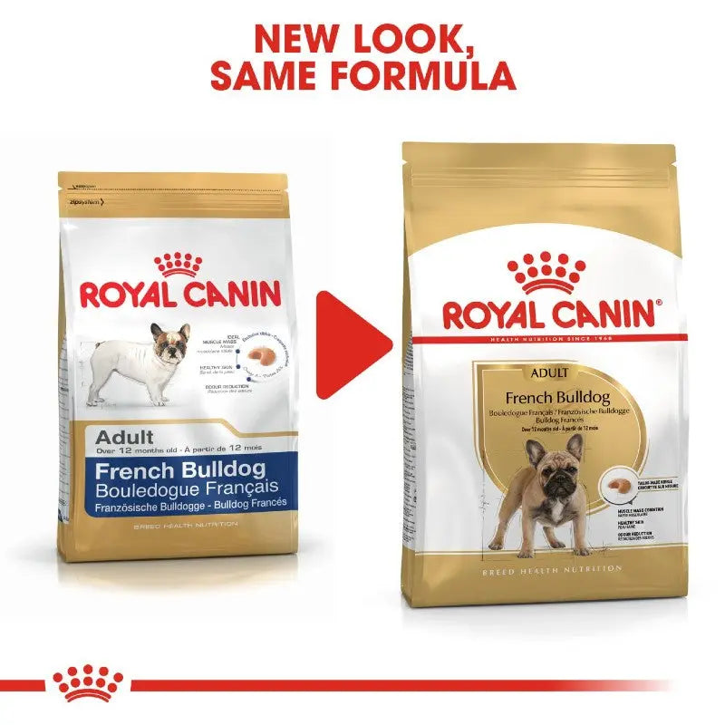 Royal Canin French Bulldog Adult Dry Dog Food   | Low Prices | Canine & Co