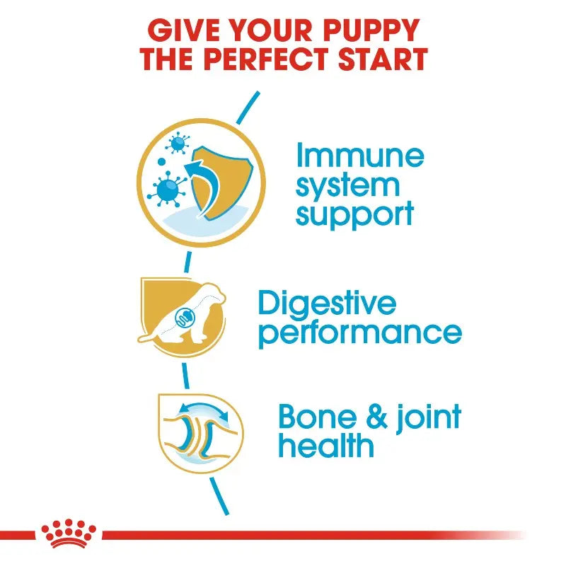 Royal Canin German Shepherd Puppy information image showing nutritional guidance