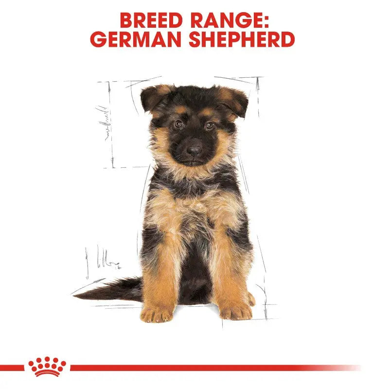 Royal Canin German Shepherd Puppy Info guide image showing nutritional tips