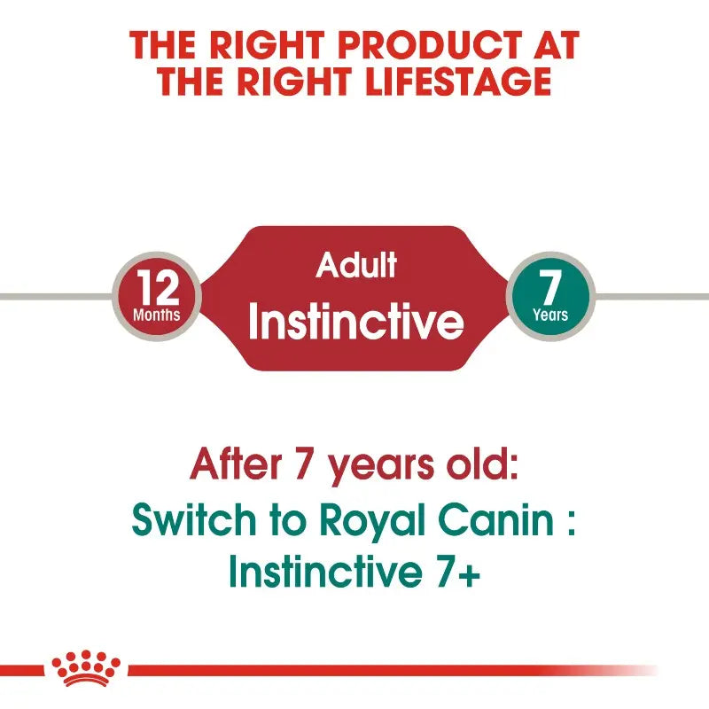 Royal Canin Instinctive Jelly Cat Wet Cat Food Pouch   | Low Prices | Canine & Co