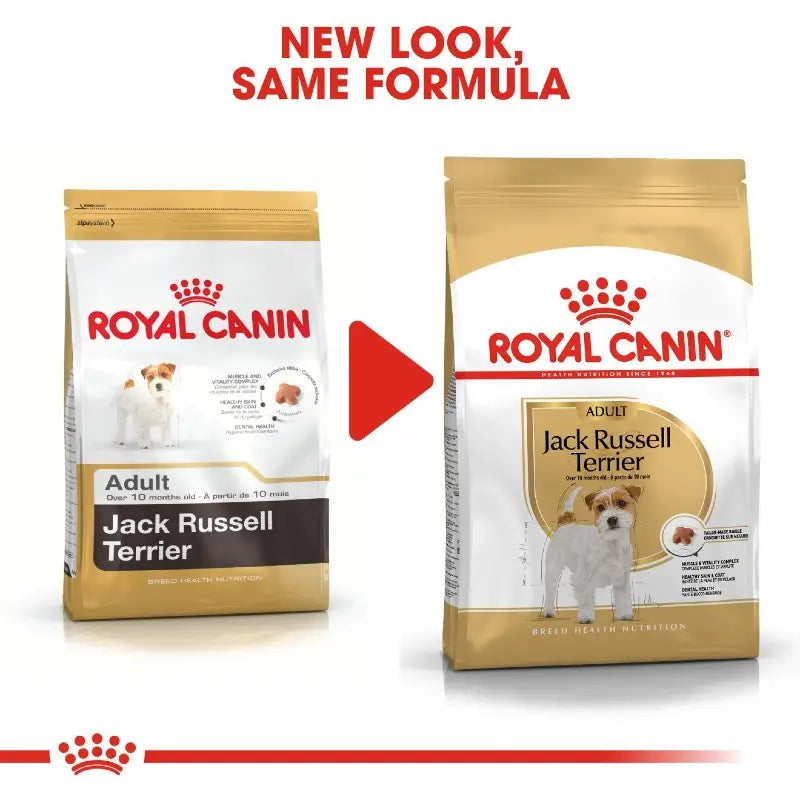 Royal Canin Jack Russell Adult Dry Dog Food   | Low Prices | Canine & Co