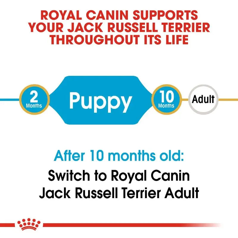 Royal Canin feeding guide for Jack Russell Terrier puppies and adults.