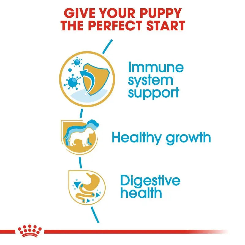 Infographic highlighting key benefits for puppy health: immune support, growth, and digestion.