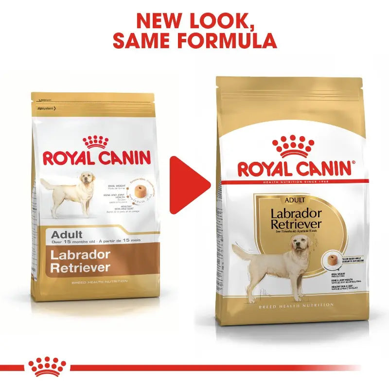 Royal Canin Labrador Retriever Adult Dry Dog Food   | Low Prices | Canine & Co