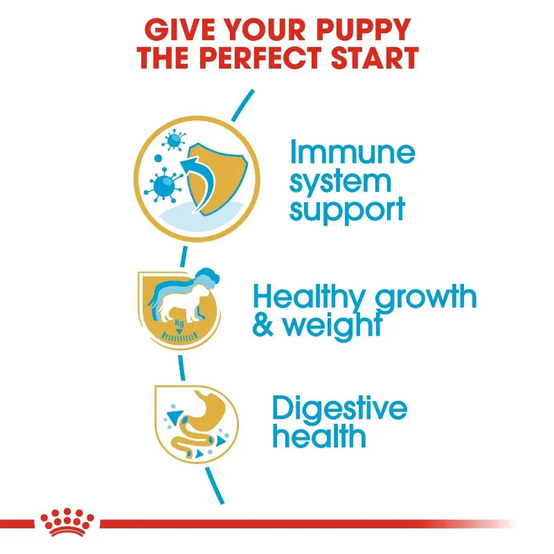 Infographic highlighting key benefits for puppy health: immune support, growth, and digestive health.