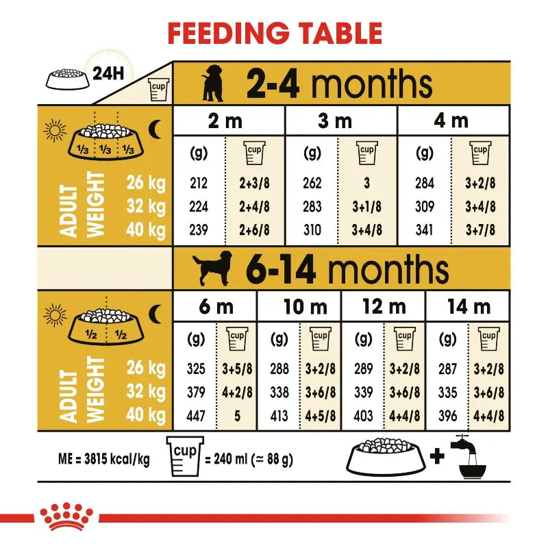 Dog feeding table infographic for puppies and young dogs, detailing age, weight, and portion sizes.