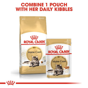Royal Canin Maine Coon Adult Cat Infographic 4