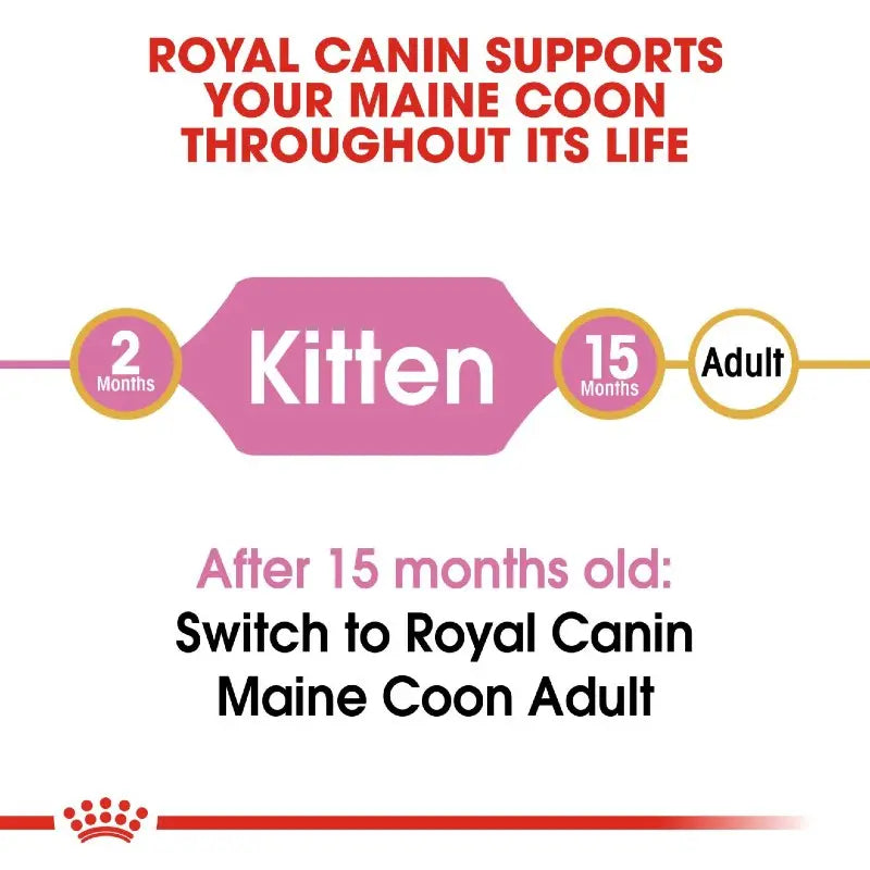 Royal Canin Maine Coon Kitten Info infographic with product details