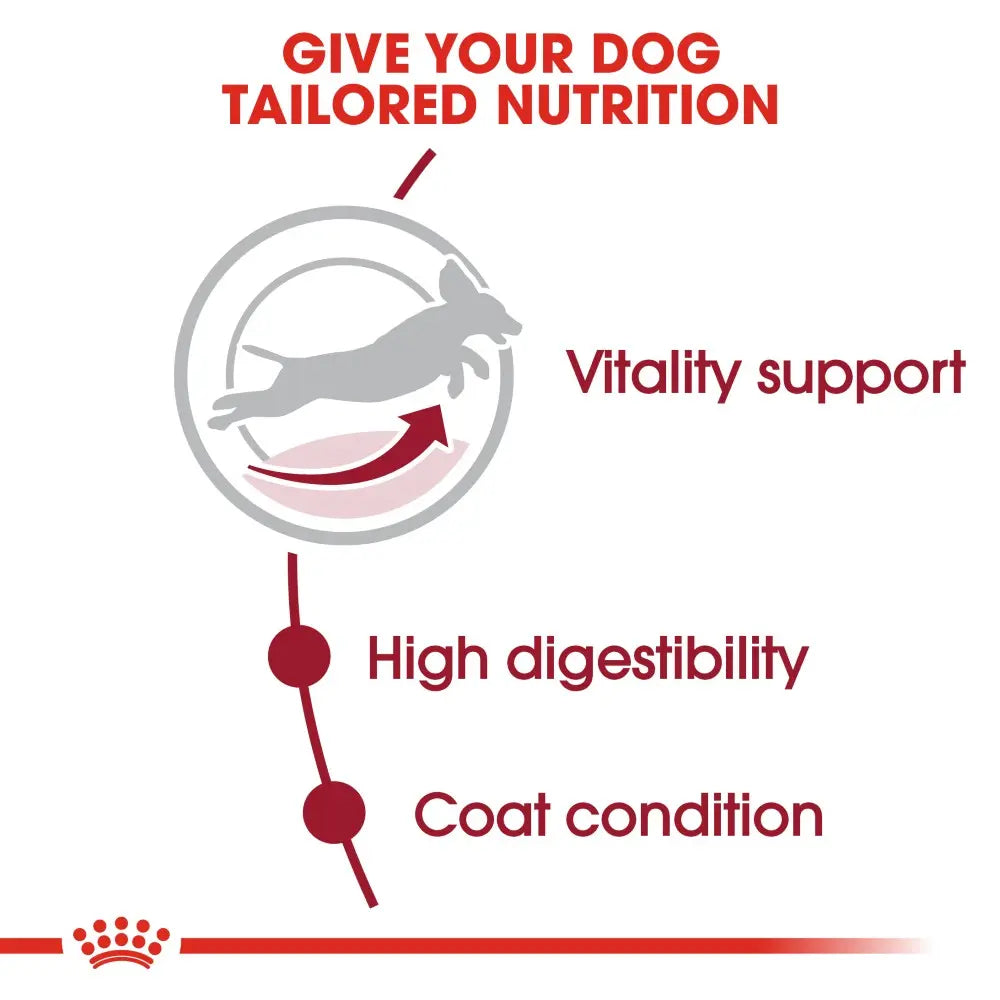 Royal Canin Medium Adult 7 infographic showing feeding guidelines
