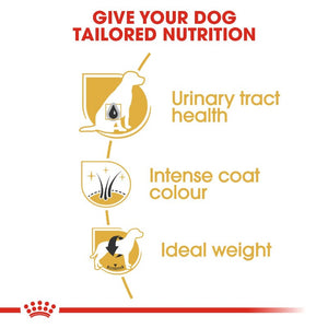 Royal Canin Schnauzer Adult Infographic 2