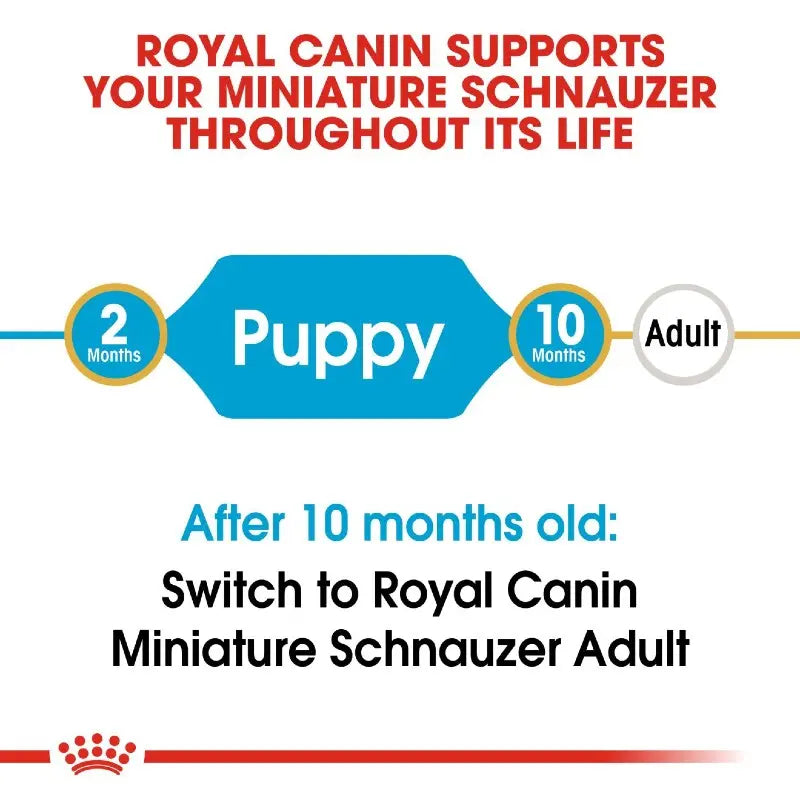 Royal Canin Schnauzer Puppy Dry Dog Food   | Low Prices | Canine & Co