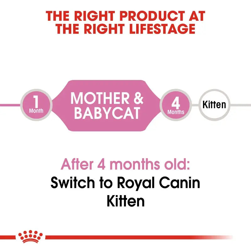 Infographic on transitioning from Royal Canin Mother & Babycat to Royal Canin Kitten after 4 months.
