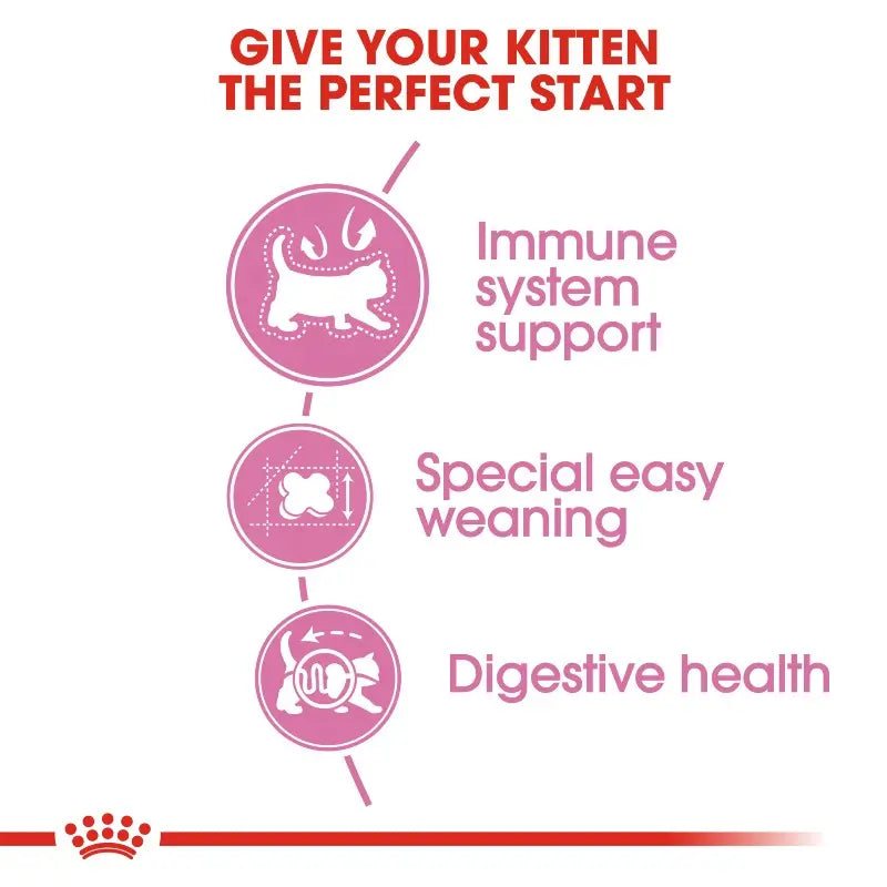 Infographic highlighting kitten nutrition benefits: immune support, easy weaning, and digestive health.