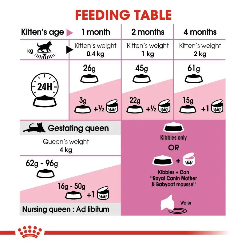 Kitten feeding table infographic showing age, weight, and feeding guidelines for optimal growth.