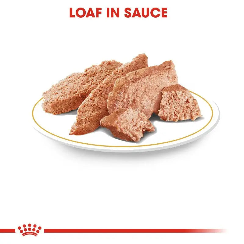 Loaf in sauce served on a plate, showcasing a tender and flavorful pet food option.