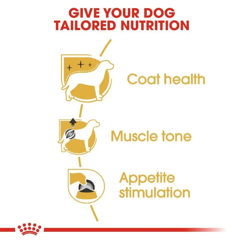 Infographic illustrating tailored nutrition benefits for dogs: coat health, muscle tone, and appetite stimulation.