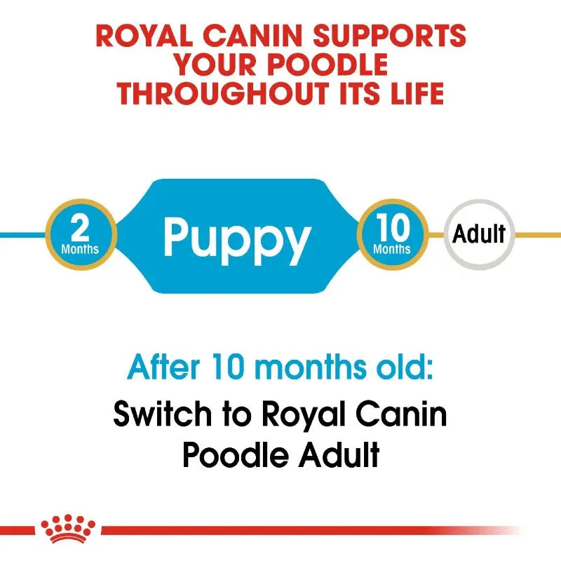 Royal Canin guide for transitioning from Poodle puppy to adult food after 10 months.