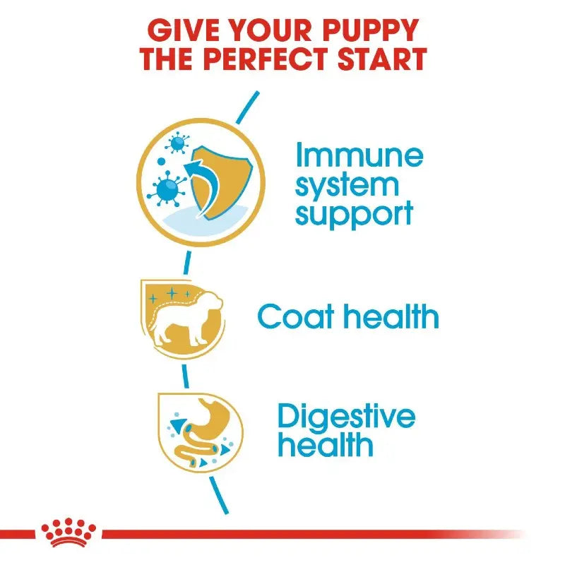 Infographic highlighting puppy health benefits: immune support, coat health, and digestive health.
