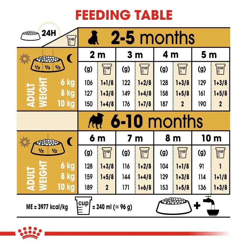 Feeding table infographic for pet nutrition, detailing portions by age and weight.