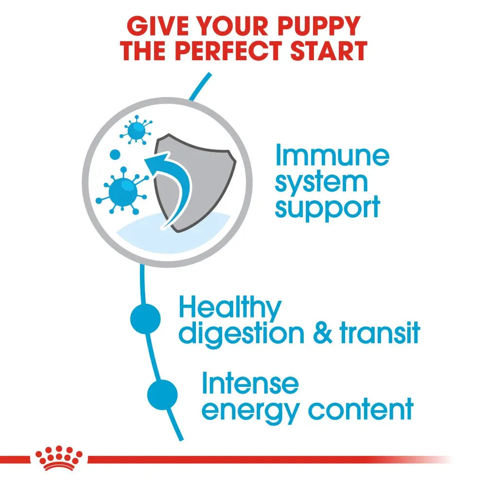 Infographic highlighting puppy nutrition benefits: immune support, digestion, and energy content.