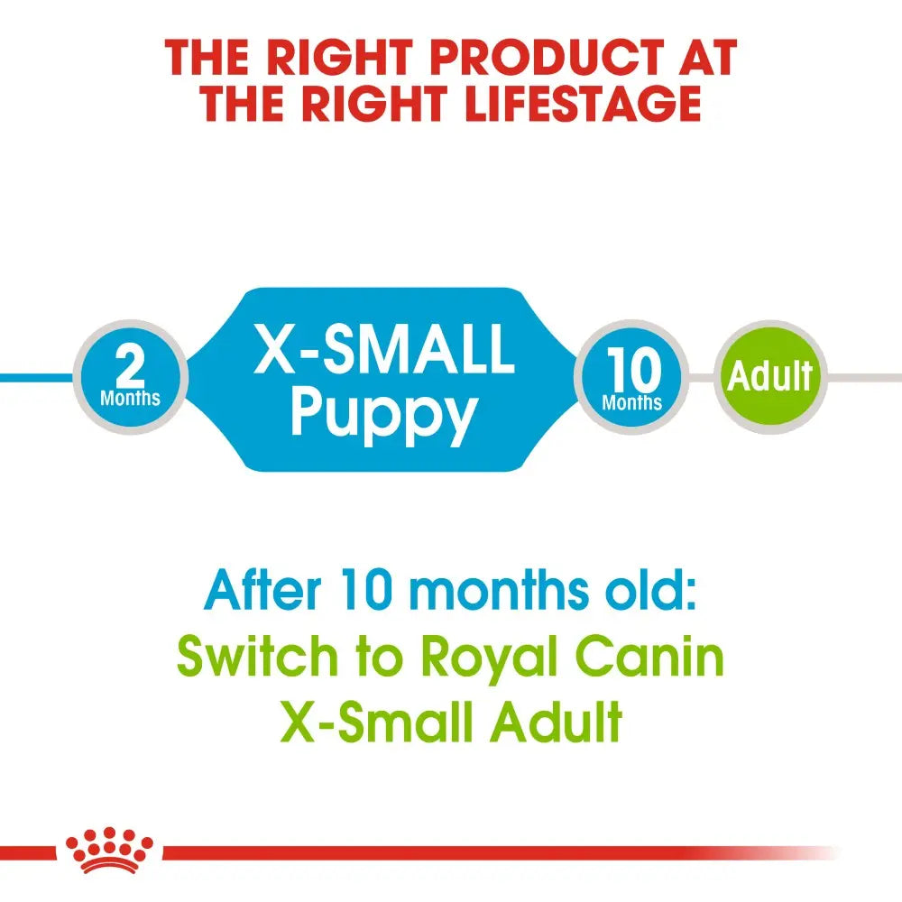 Infographic showing Royal Canin feeding guide for X-Small Puppy and Adult dog food transition.