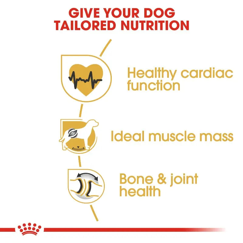 Infographic highlighting tailored nutrition benefits for dogs: cardiac health, muscle mass, and joint support.