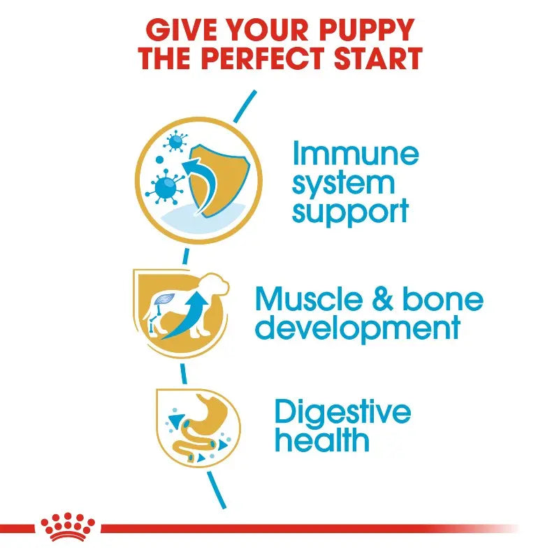 Infographic highlighting key benefits for puppy health: immune support, muscle development, and digestive health.