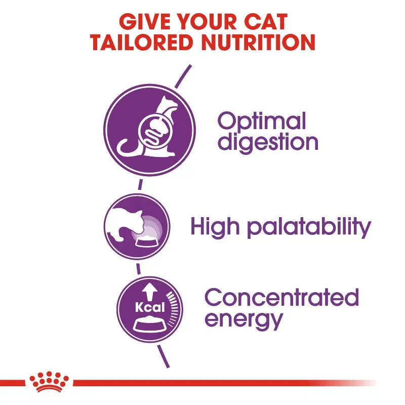 Royal Canin Sensible Dry Cat Food   | Low Prices | Canine & Co