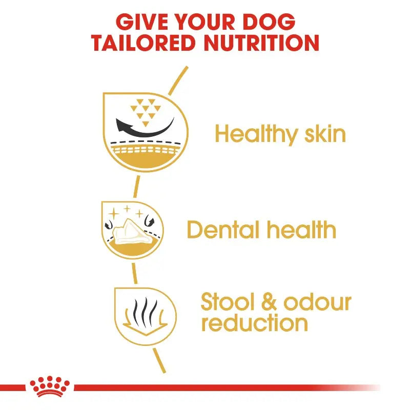 Royal Canin Shih Tzu Adult Info infographic for owners