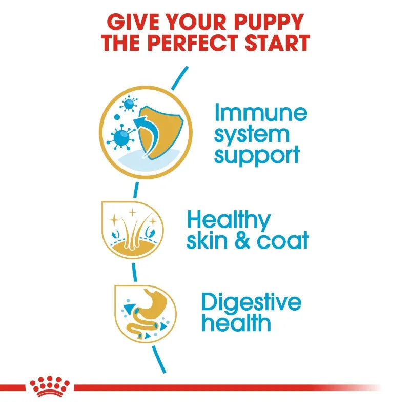 Infographic highlighting puppy health benefits: immune support, skin care, and digestive health.