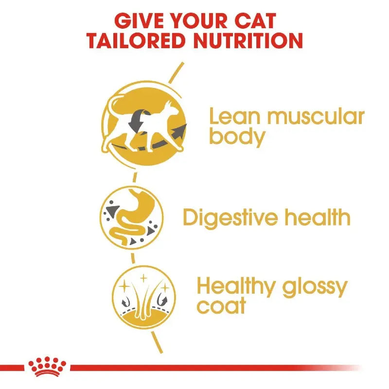 Infographic highlighting tailored nutrition benefits for cats: lean body, digestive health, and glossy coat.