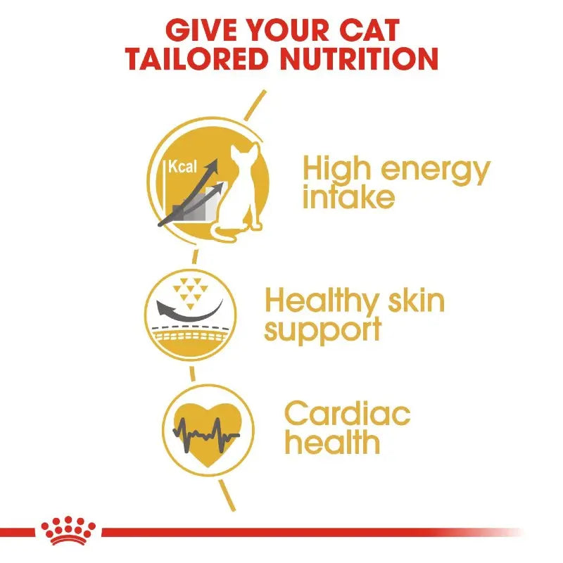 Infographic highlighting tailored nutrition benefits for cats: energy, skin support, and heart health.
