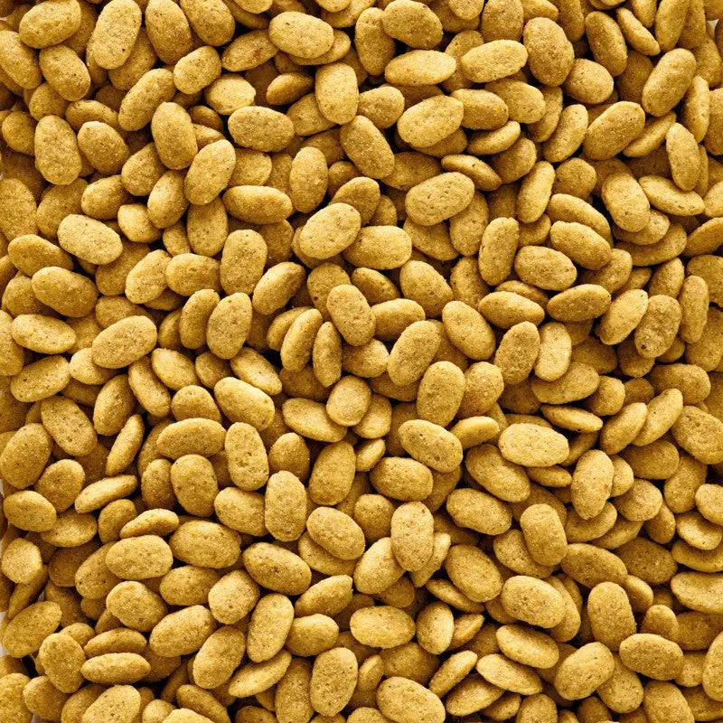Golden pet food kibble scattered on a surface, showcasing its crunchy texture and shape.