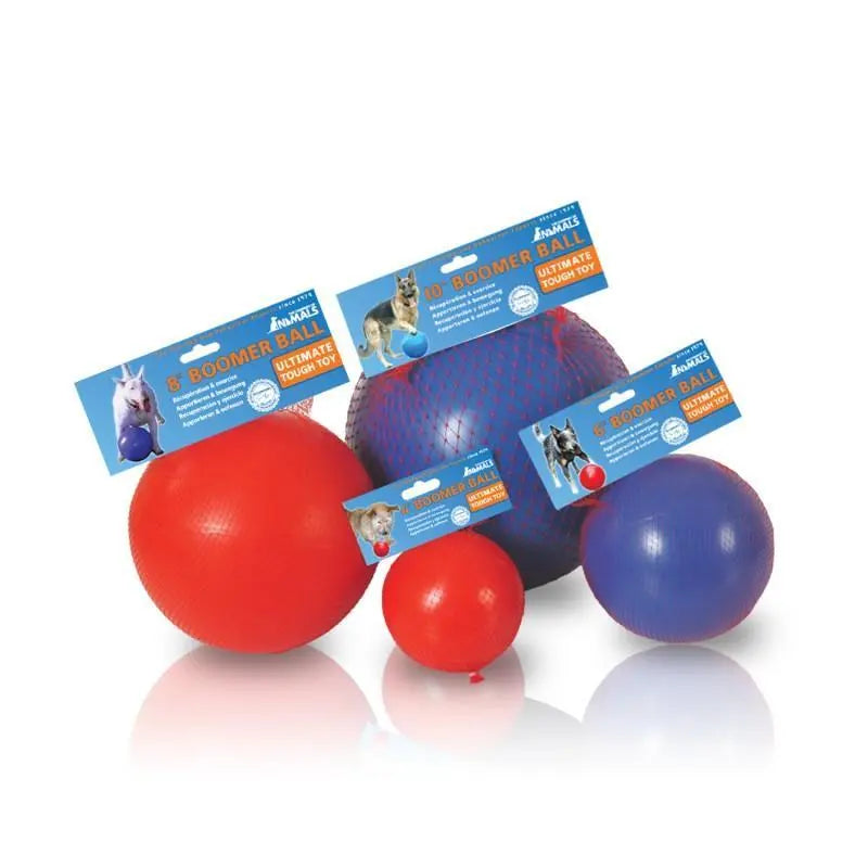 Colorful dog boomer balls in various sizes, perfect for outdoor play and exercise.