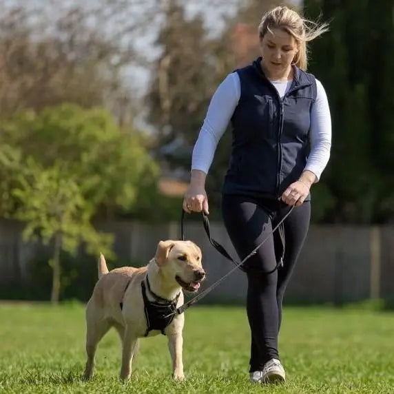Woman walking a Labrador dog on a leash in a sunny park setting.