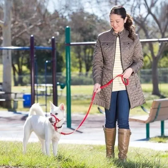 Woman walking a white dog on a leash in a sunny park setting.