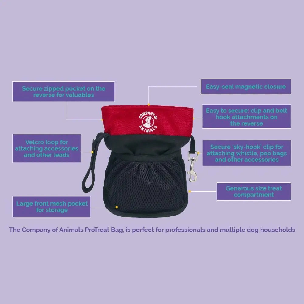 ProTreat Bag with secure pockets, easy closure, and generous treat compartment for dog training.