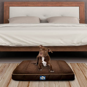 Sealy Cushy Comfort Orthopaedic Dog Bed - Brown