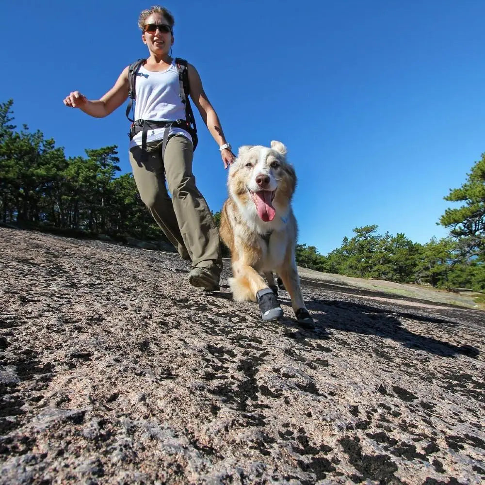 Hiker and dog enjoying a sunny day on a rocky trail, showcasing outdoor adventure and pet companionship.