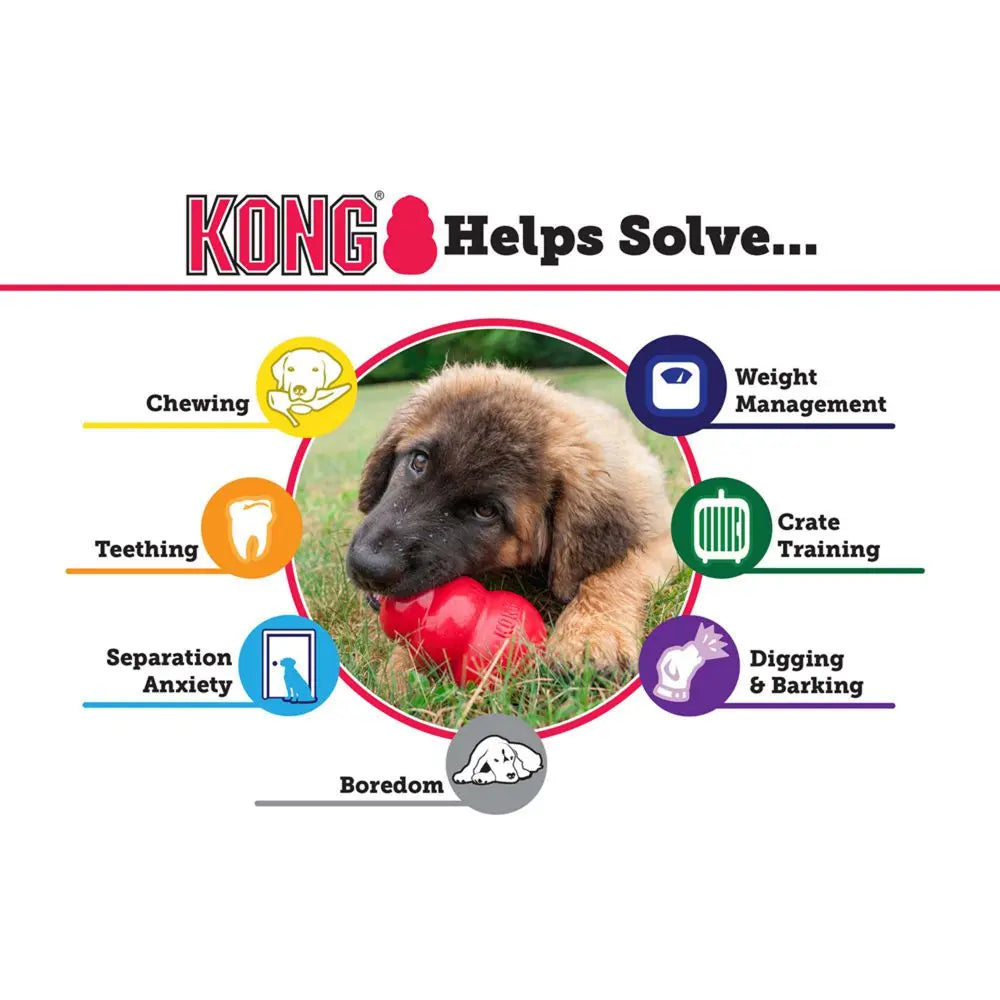 KONG toy infographic highlighting benefits for dogs like chewing, training, and managing boredom.