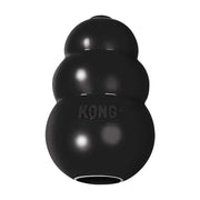 Durable KONG dog toy for interactive play and treat dispensing.