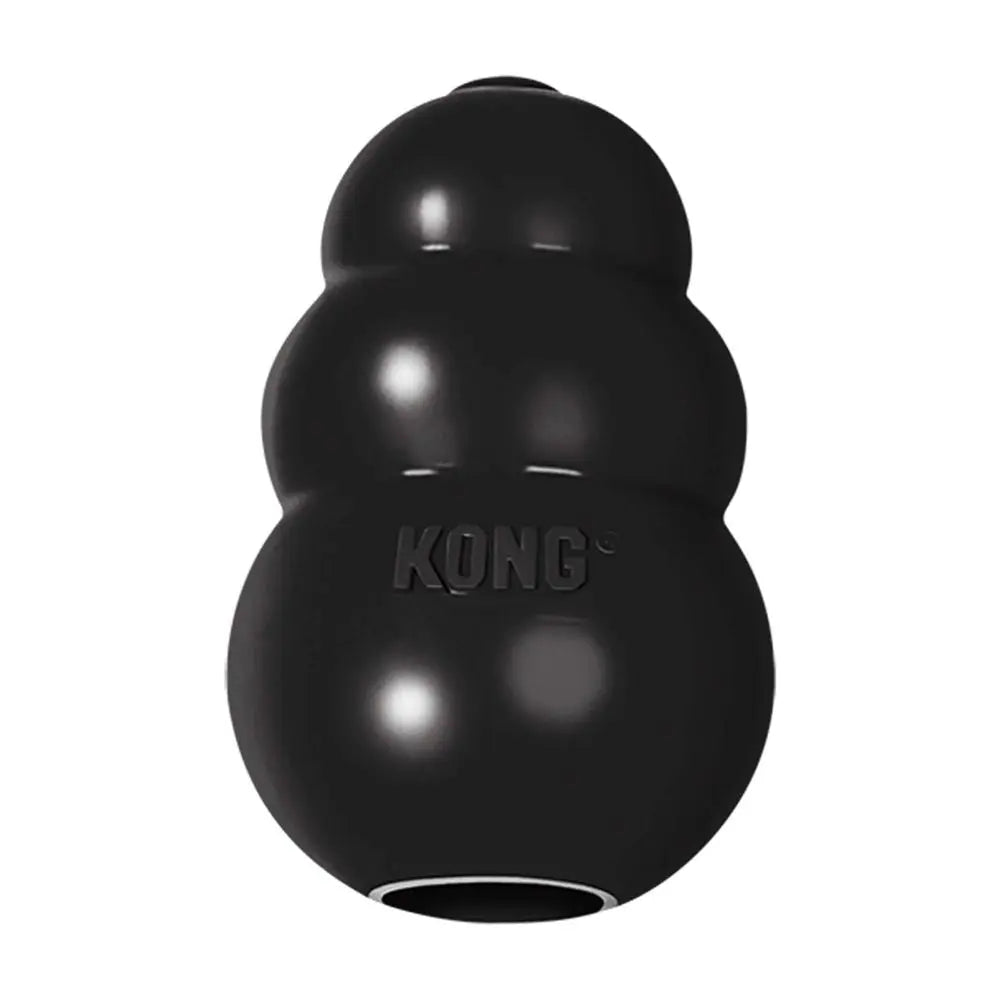 Durable KONG dog toy for interactive play and treat dispensing.