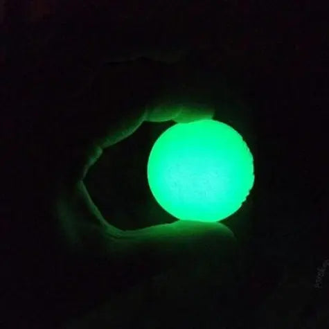 Chuckit! Max Glow Ball Fetch Dog Toy   | Low Prices | Canine & Co