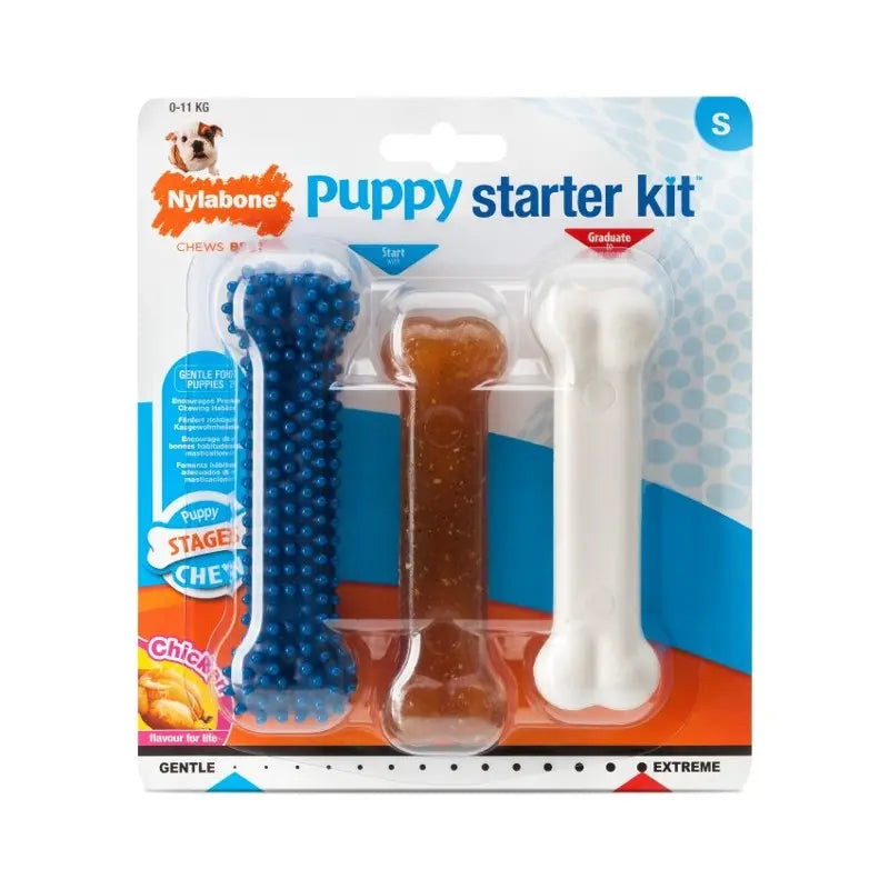 Nylabone Puppy Chew Starter Kit - product detail image available online in South Africa