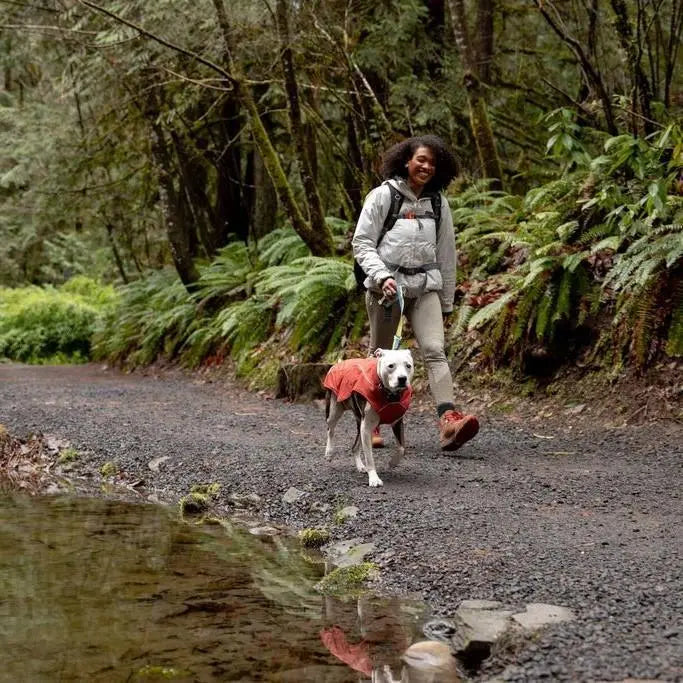 Person walking a dog on a forest trail, surrounded by lush greenery and a reflective pond.