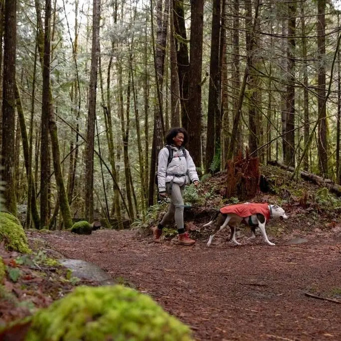Hiker with a dog in a forest, showcasing outdoor adventure and nature exploration.