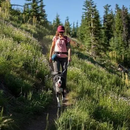 Woman hiking with a dog on a scenic trail surrounded by lush greenery and wildflowers.