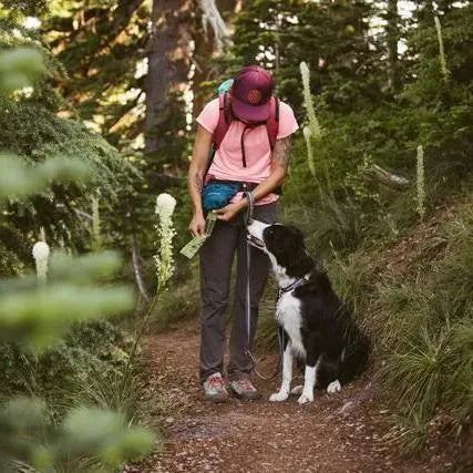 Hiker with a dog on a forest trail, checking a map while enjoying nature.