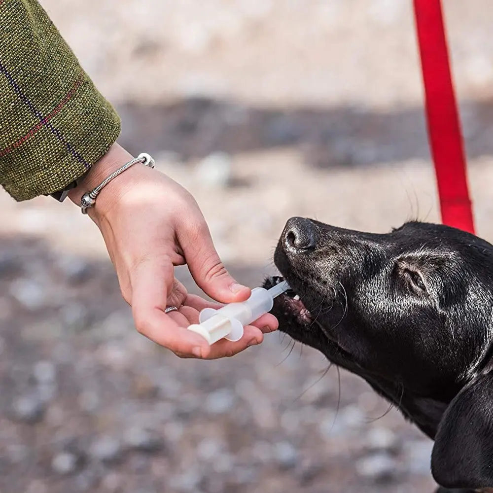 Dog receiving liquid medication from a syringe in a hand during a walk.